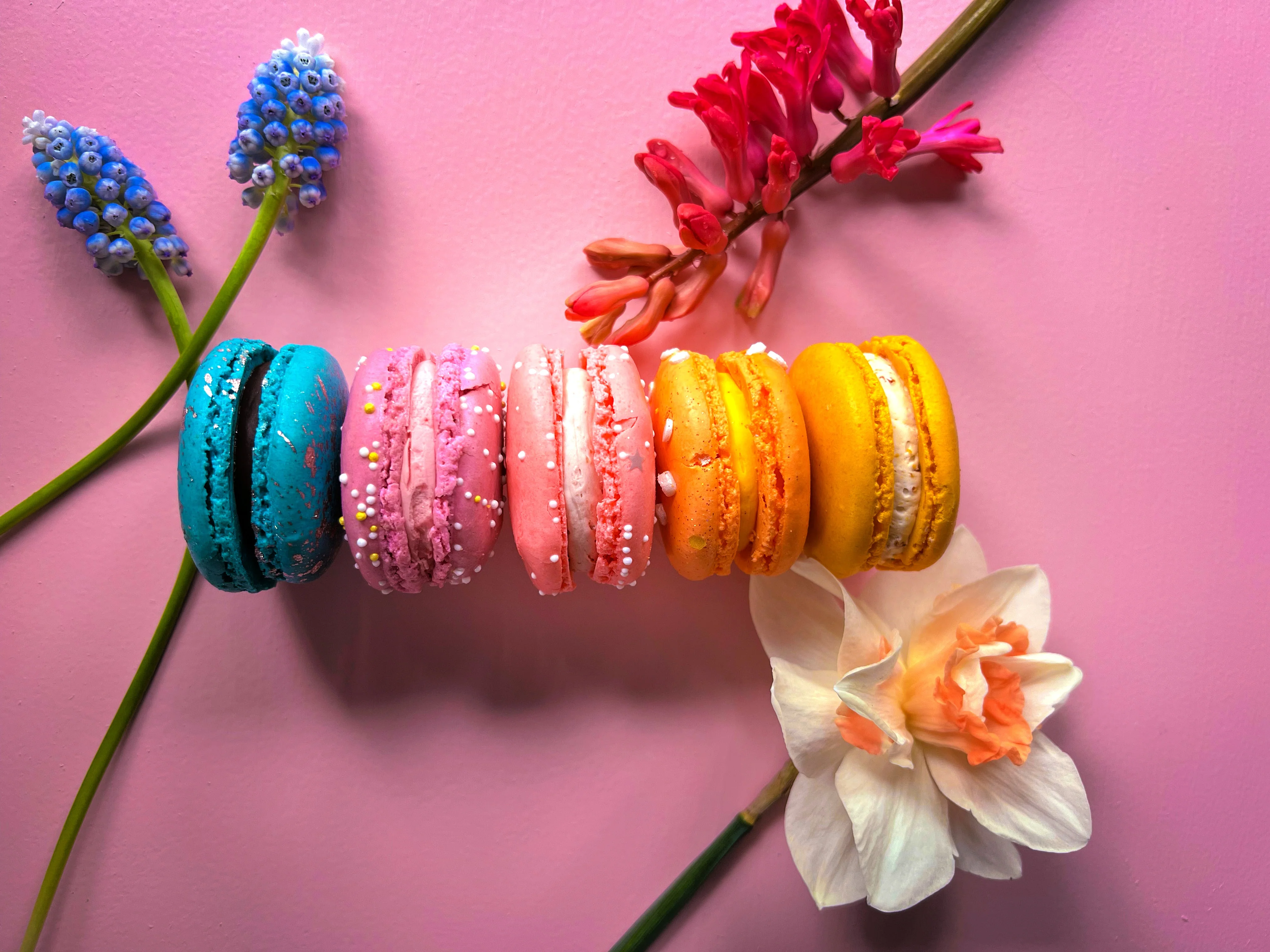 Welcome to Our Store